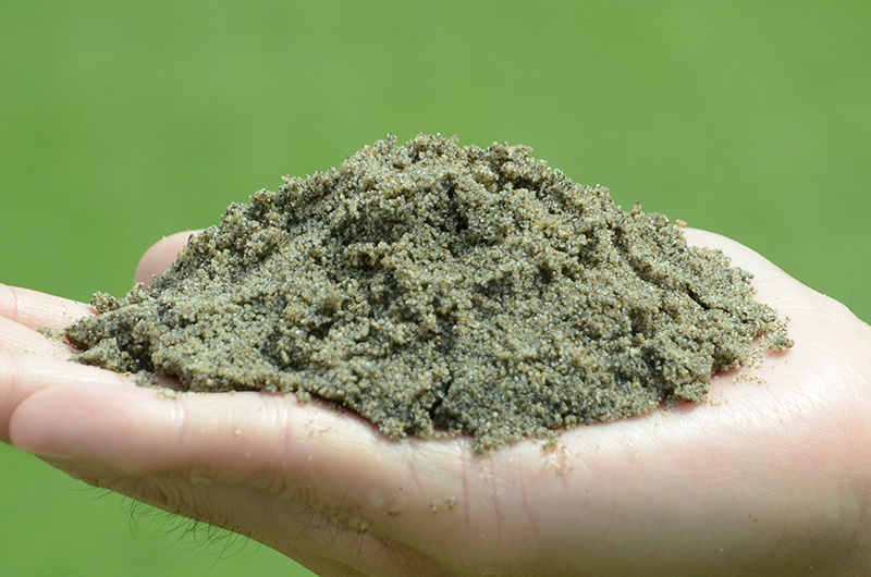 洗砂 グリーンづくりにコレがいい バロネス 芝生の目砂 床砂 10kg入り 6 7リットルサイズ 1袋 目土 目砂 土壌改良資材 芝生 のことならバロネスダイレクト