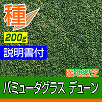 バミューダグラス デューン 1kg入 お庭の広さ12～18坪用 暖地型芝の種