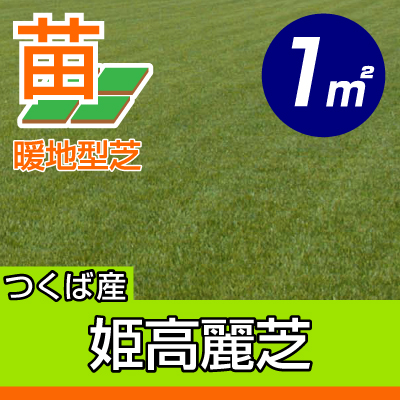 ９月下旬頃販売再開予定 産地直送 代引不可 姫高麗芝 張り芝用 つくば産 １平米 0 3坪分 園芸 つくば産 芝生のことならバロネスダイレクト