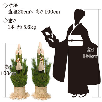 予約注文品 天然竹使用 熟年の職人が造り上げる生門松 高さ100cm 1対 2本セット 産地直送 オーナメント 芝生のことならバロネスダイレクト