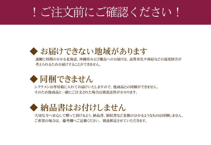 数量限定・送料無料】シクラメン ピポカ ５号鉢 バスケット付き シクラメン 芝生のことならバロネスダイレクト