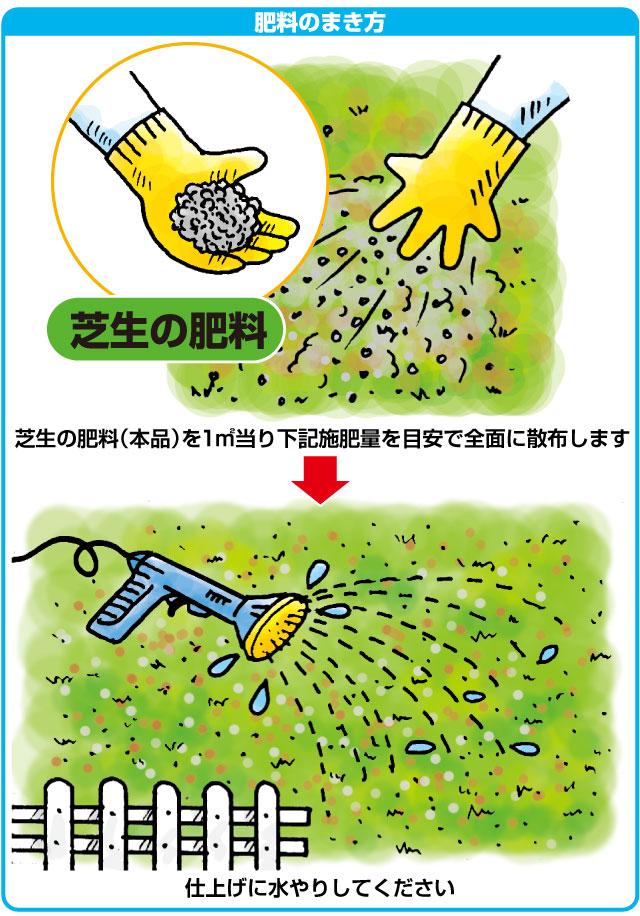 ゴルフ場も太鼓判 バロネス 芝生の肥料 5kg入り 緩効性化成肥料 細粒タイプ 肥料 芝生のことならバロネスダイレクト