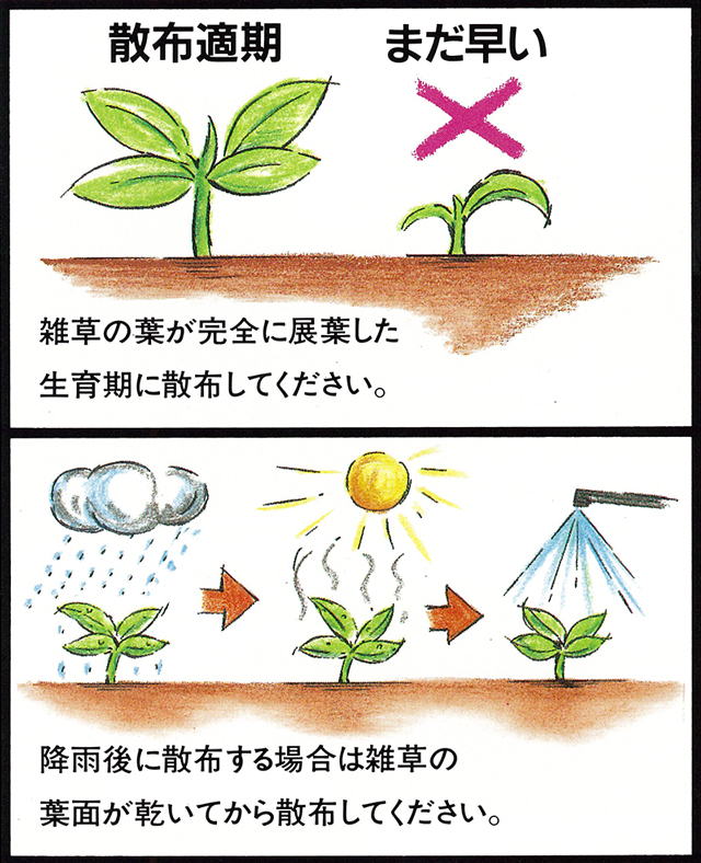 ゴルフ場も使用の芝生用除草剤 ザイトロンアミン液剤 500ml入り 除草剤 芝生のことならバロネスダイレクト