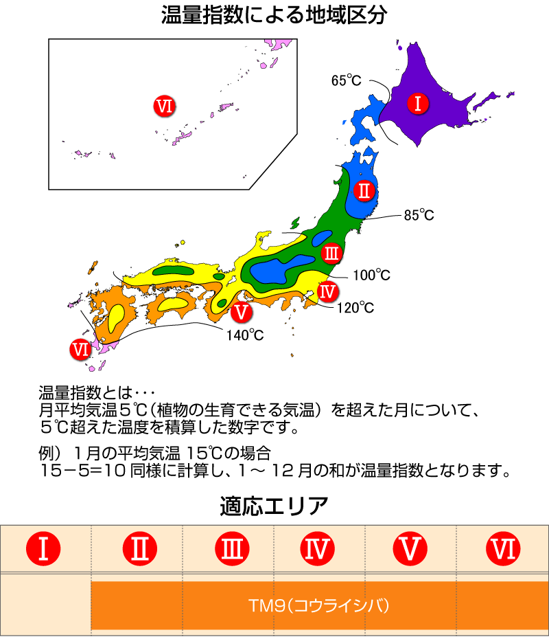 産地直送 代引不可 省管理型高麗芝 ｔｍ９ ティーエムナイン 登録品種 張り芝用 プレミアム苗 鳥取産 ２平米 0 6坪分 園芸 鳥取産 芝生 のことならバロネスダイレクト